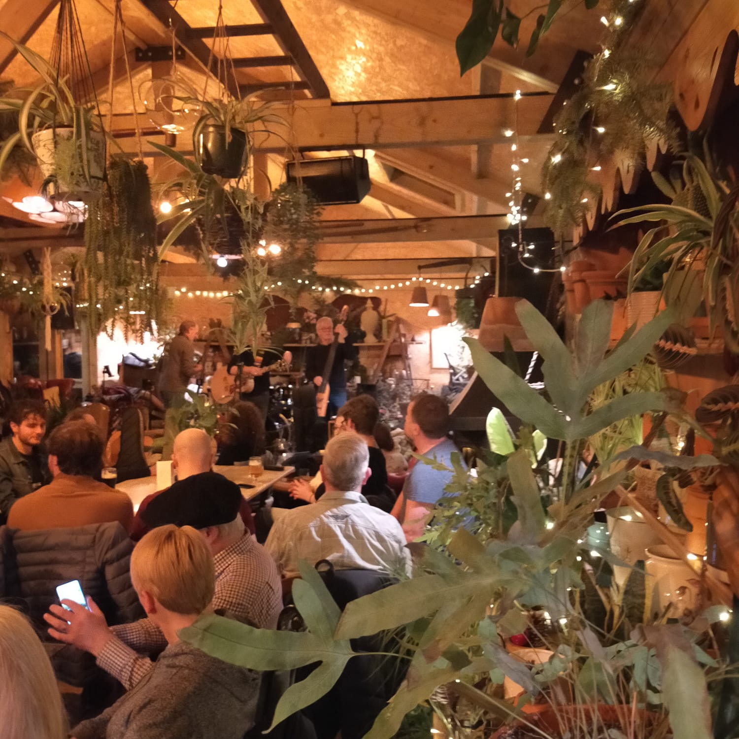 A band playing on the Potting Shed stage